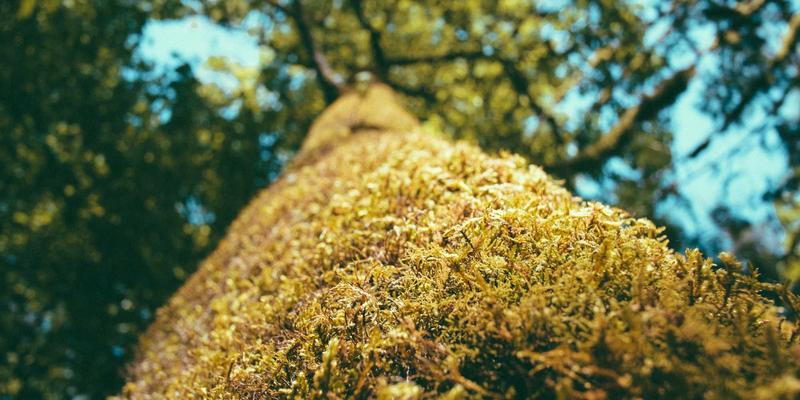 2024年沈阳房产抵押贷款利率全解析:企业融资、房贷、车贷如何低成本撬动资金?