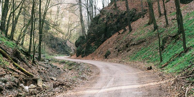 从辽西北扶贫再贷款看金融活水如何精准滴灌:企业融资、贷款咨询与车贷的联动效应