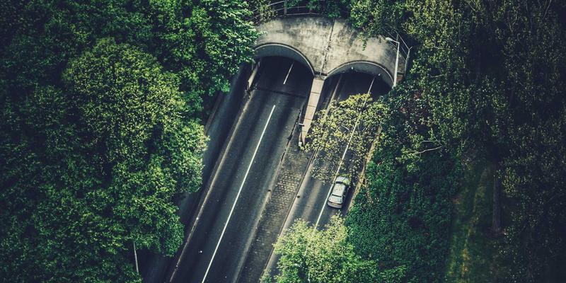 辽宁农村土地经营权抵押贷款实务指南：从“沉睡资产”到“流动资本”的创新融资之路