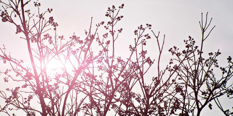 辽宁县域经济融资破局之道：特色农业与产业园区的贷款策略与实战案例