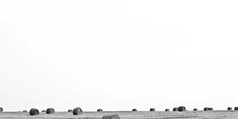 辽宁新政下的金融蓝海:住房租赁贷款如何撬动‘租购同权’与车贷市场新机遇