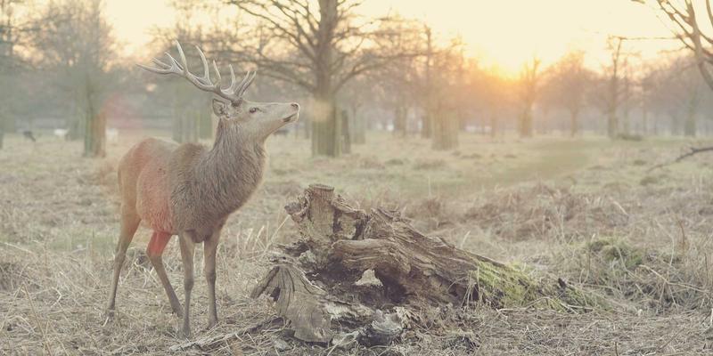 辽宁老旧小区改造的金融新解：银团贷款如何撬动社会资本，与你的车贷房贷有何关联？